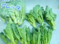 アレッタ 茨城産