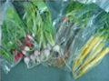 いろいろミニ野菜 茨城産