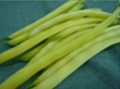 黄色いんげん 福岡産