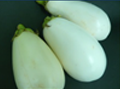 白なす大阪産