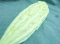 サラダゴーヤ