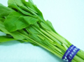 油菜心